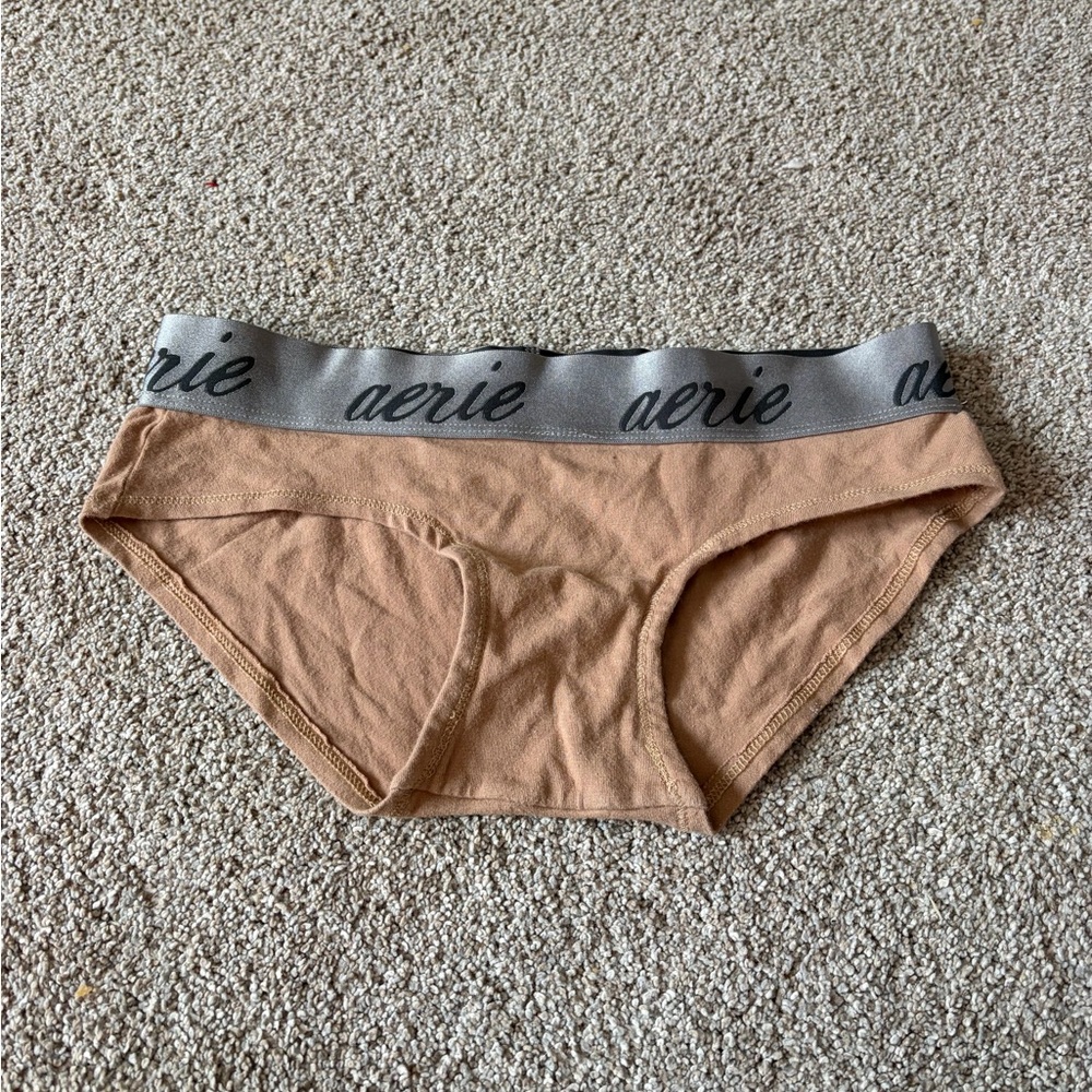 Aerie Tan and Gray Hipster Briefs